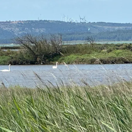 New Maison Confort, Bord De Avec Parking Prive