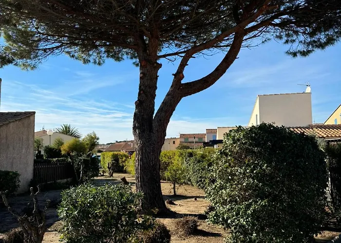 New Maison Confort, Bord De Avec Parking Prive Gruissan
